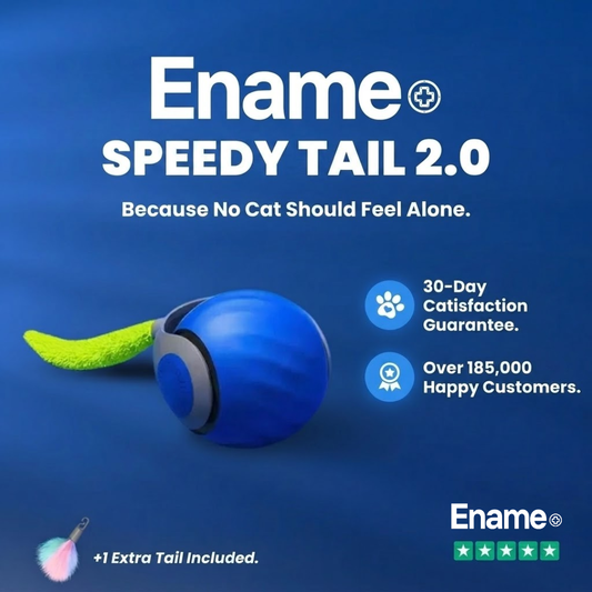 Ename | SPEEDY TAIL 2.0
