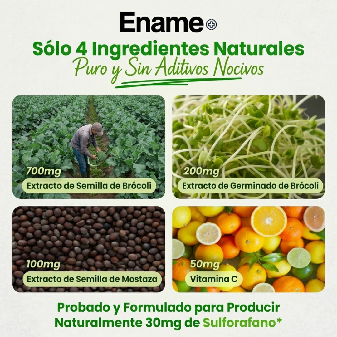Ename Cellular Detox | Activa la defensa natural de tu cuerpo. Limpia tu intestino, apaga la inflamación y siéntete con energía todo el día con solo 4 ingredientes.