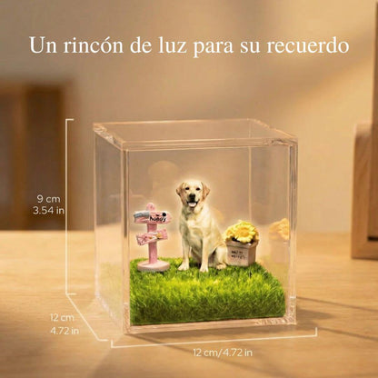 PawAI™ – Recuerdo Holográfico Personalizado