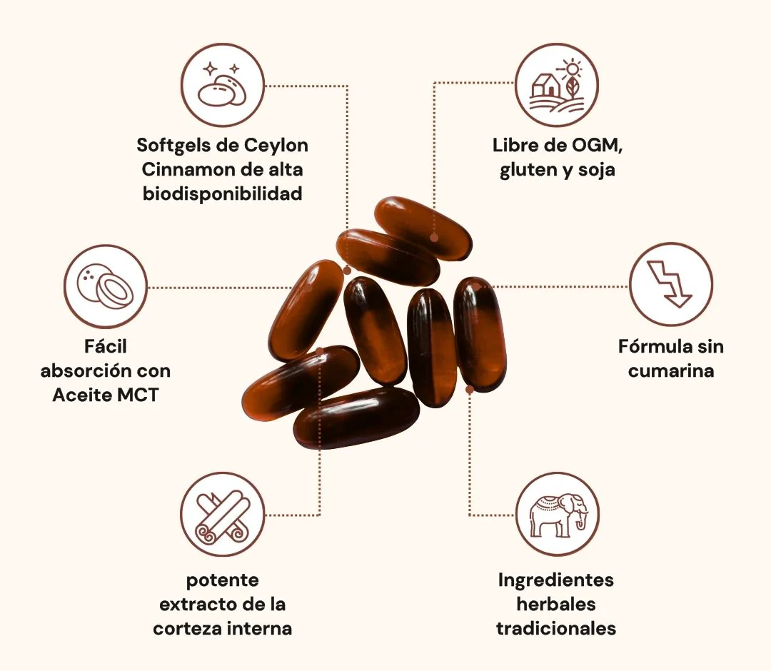 Ename | Cinnamon equivalente a 7,200 mg con Aceite MCT