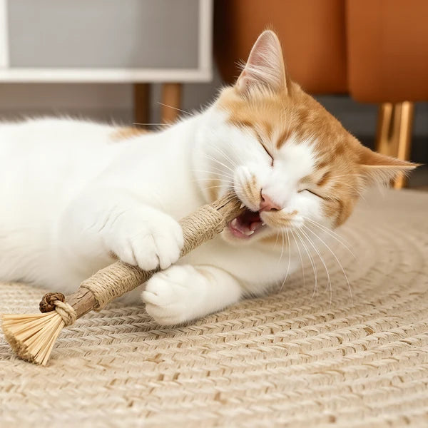 Purriq Natural Silvervine Dental Sticks