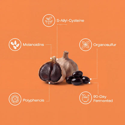 UriClear - Fermented Black Garlic Restoration Protocol