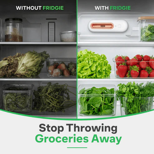 Ename™ Keep Food Fresh 4x Longer & Slash Your Grocery Bills