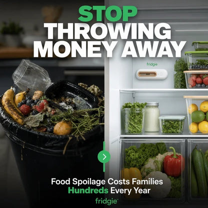 Ename™ Keep Food Fresh 4x Longer & Slash Your Grocery Bills