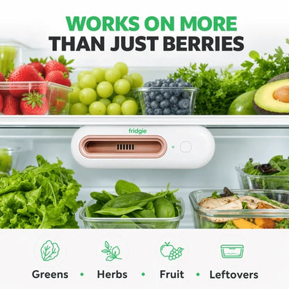 Ename™ Keep Food Fresh 4x Longer & Slash Your Grocery Bills