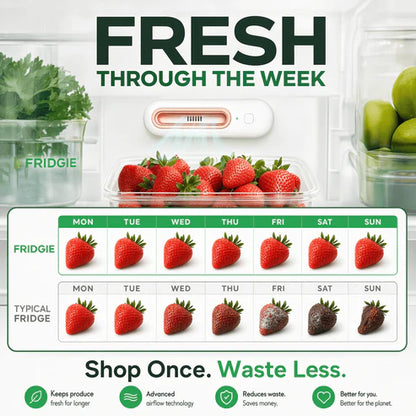 Ename™ Keep Food Fresh 4x Longer & Slash Your Grocery Bills