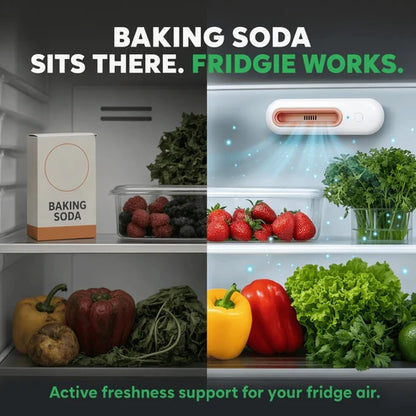 Ename™ Keep Food Fresh 4x Longer & Slash Your Grocery Bills