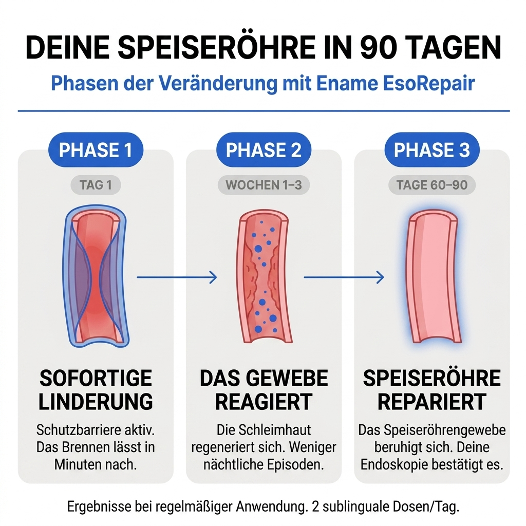 Ename EsoRepair™ | Nano-Sublingual Esophageal Repair